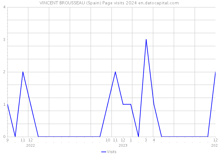 VINCENT BROUSSEAU (Spain) Page visits 2024 