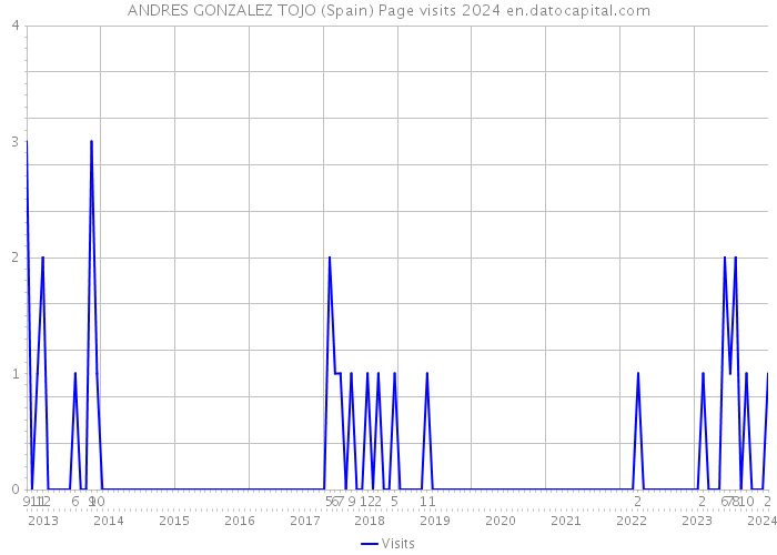 ANDRES GONZALEZ TOJO (Spain) Page visits 2024 