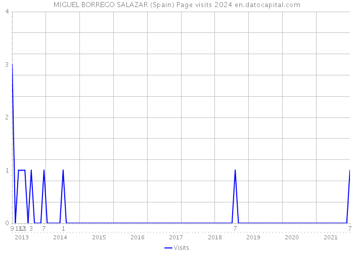 MIGUEL BORREGO SALAZAR (Spain) Page visits 2024 