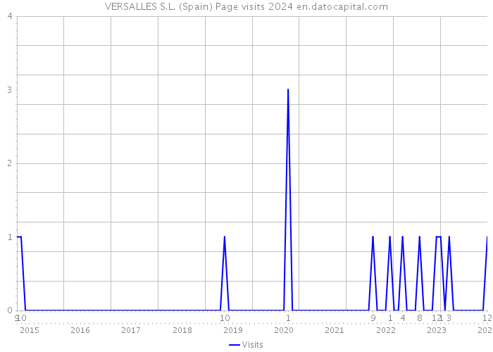 VERSALLES S.L. (Spain) Page visits 2024 