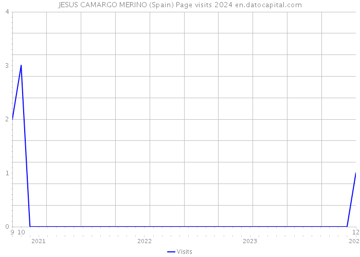 JESUS CAMARGO MERINO (Spain) Page visits 2024 