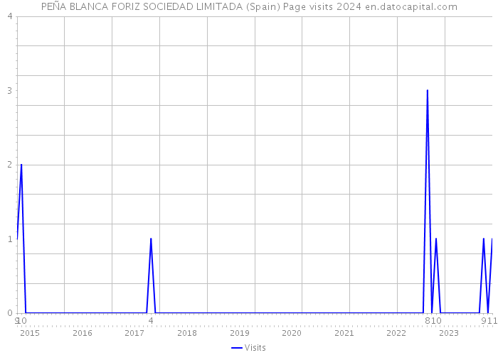 PEÑA BLANCA FORIZ SOCIEDAD LIMITADA (Spain) Page visits 2024 