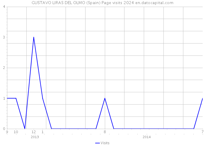 GUSTAVO LIRAS DEL OLMO (Spain) Page visits 2024 