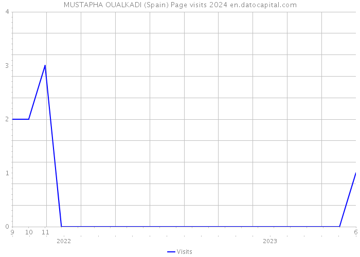 MUSTAPHA OUALKADI (Spain) Page visits 2024 