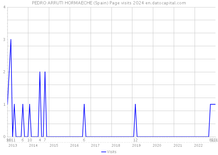 PEDRO ARRUTI HORMAECHE (Spain) Page visits 2024 