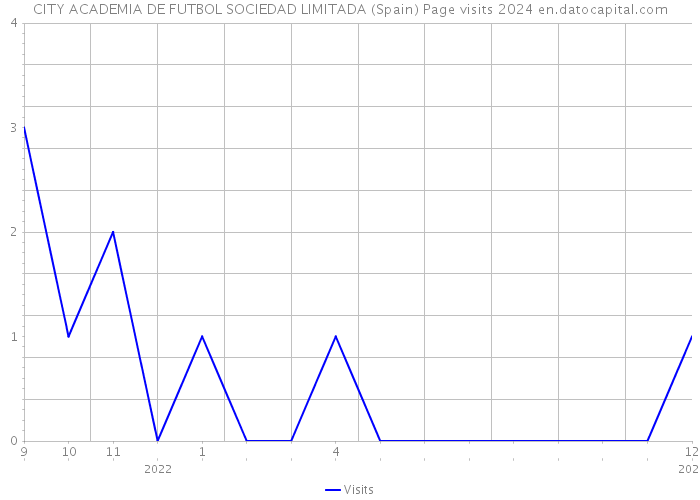 CITY ACADEMIA DE FUTBOL SOCIEDAD LIMITADA (Spain) Page visits 2024 