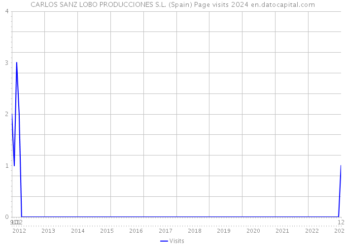 CARLOS SANZ LOBO PRODUCCIONES S.L. (Spain) Page visits 2024 