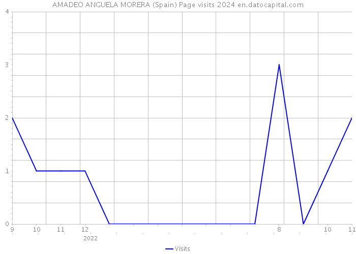 AMADEO ANGUELA MORERA (Spain) Page visits 2024 