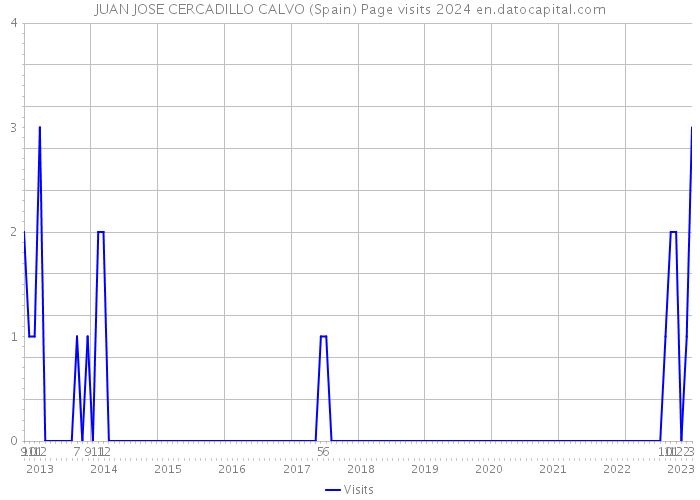 JUAN JOSE CERCADILLO CALVO (Spain) Page visits 2024 