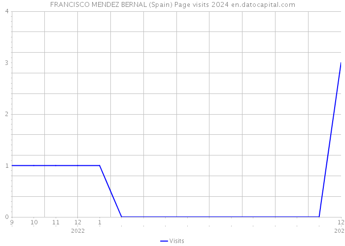 FRANCISCO MENDEZ BERNAL (Spain) Page visits 2024 