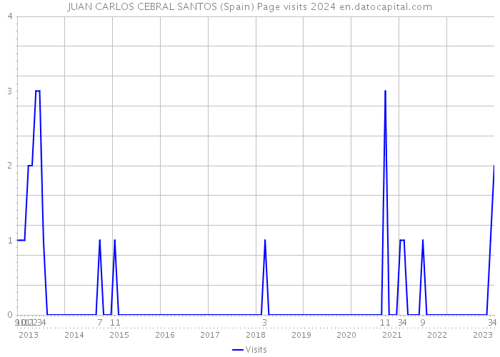 JUAN CARLOS CEBRAL SANTOS (Spain) Page visits 2024 
