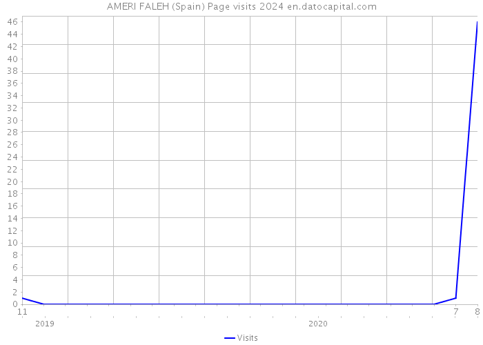 AMERI FALEH (Spain) Page visits 2024 