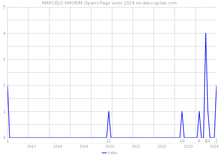MARCELO AMORIM (Spain) Page visits 2024 