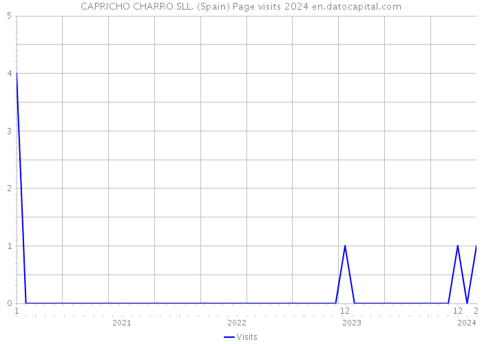 CAPRICHO CHARRO SLL. (Spain) Page visits 2024 