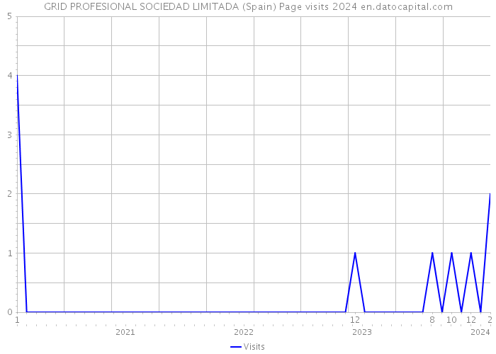 GRID PROFESIONAL SOCIEDAD LIMITADA (Spain) Page visits 2024 