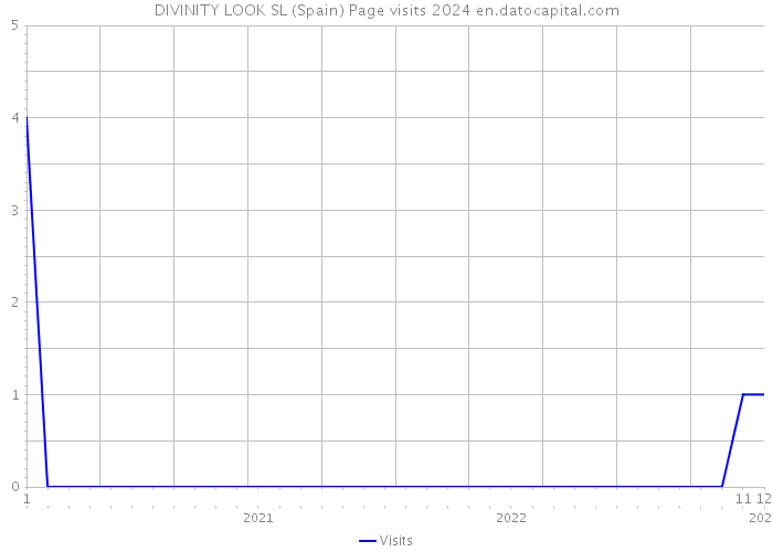 DIVINITY LOOK SL (Spain) Page visits 2024 