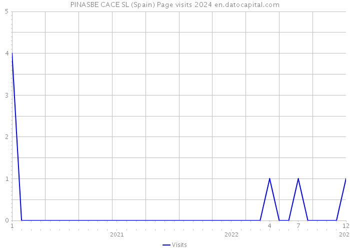 PINASBE CACE SL (Spain) Page visits 2024 