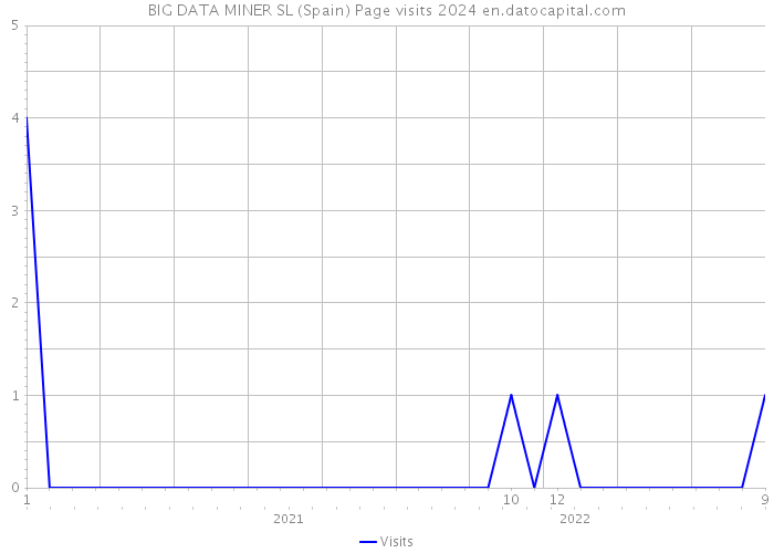 BIG DATA MINER SL (Spain) Page visits 2024 