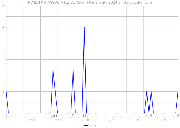 ROSEHIP & ASSOCIATES SL (Spain) Page visits 2024 