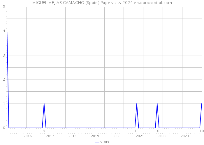 MIGUEL MEJIAS CAMACHO (Spain) Page visits 2024 