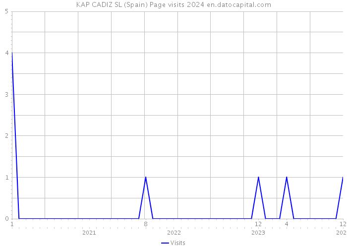 KAP CADIZ SL (Spain) Page visits 2024 
