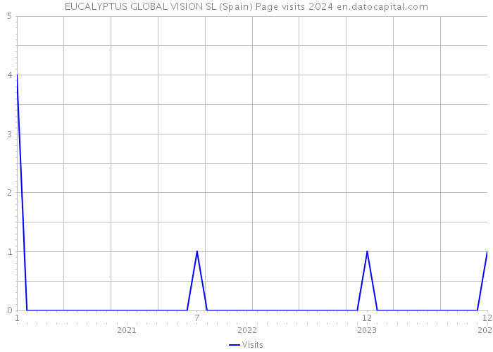 EUCALYPTUS GLOBAL VISION SL (Spain) Page visits 2024 