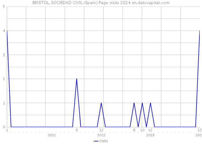 BRISTOL, SOCIEDAD CIVIL (Spain) Page visits 2024 