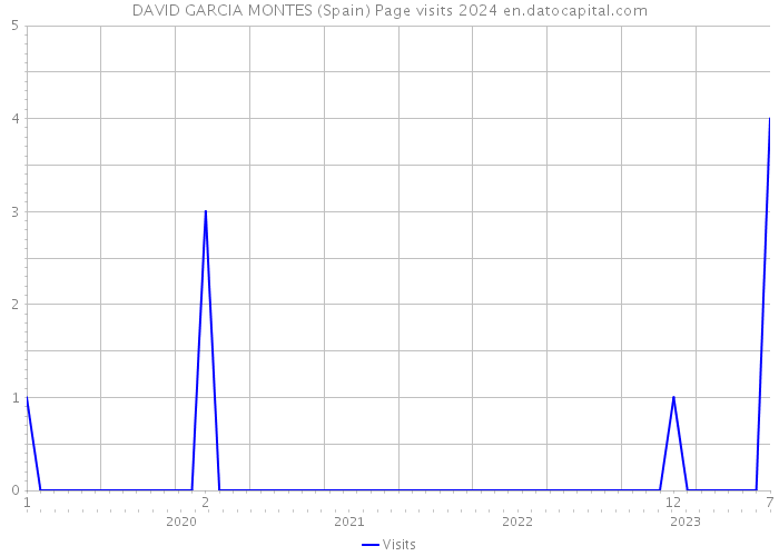 DAVID GARCIA MONTES (Spain) Page visits 2024 