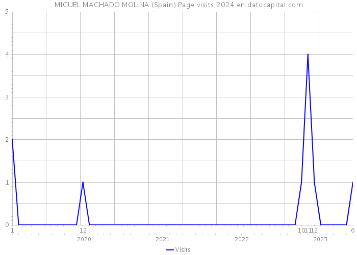 MIGUEL MACHADO MOLINA (Spain) Page visits 2024 