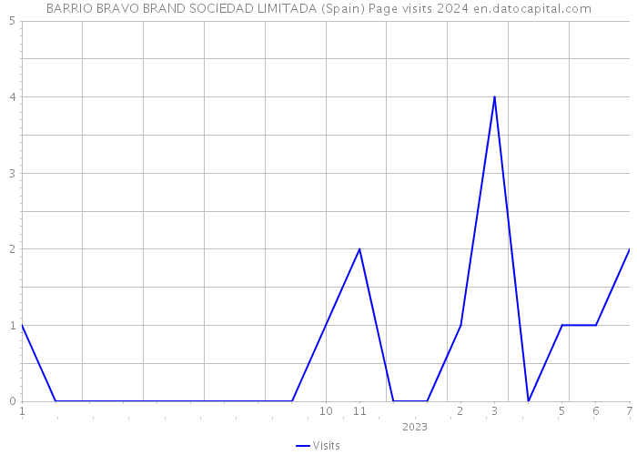 BARRIO BRAVO BRAND SOCIEDAD LIMITADA (Spain) Page visits 2024 