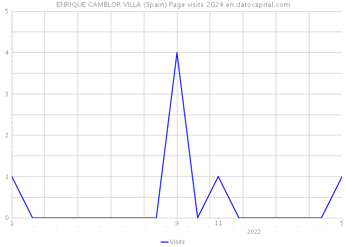 ENRIQUE CAMBLOR VILLA (Spain) Page visits 2024 