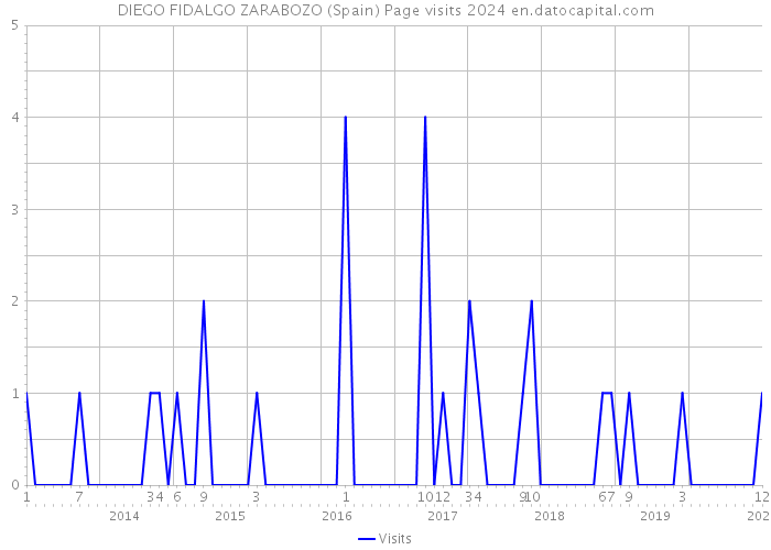 DIEGO FIDALGO ZARABOZO (Spain) Page visits 2024 