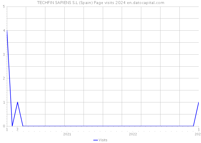 TECHFIN SAPIENS S.L (Spain) Page visits 2024 