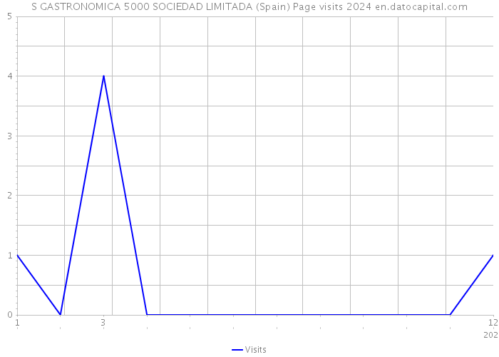 S GASTRONOMICA 5000 SOCIEDAD LIMITADA (Spain) Page visits 2024 