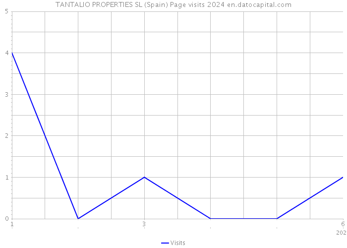 TANTALIO PROPERTIES SL (Spain) Page visits 2024 