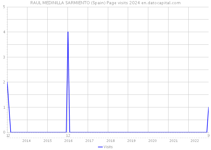 RAUL MEDINILLA SARMIENTO (Spain) Page visits 2024 