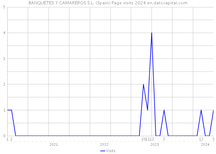 BANQUETES Y CAMAREROS S.L. (Spain) Page visits 2024 
