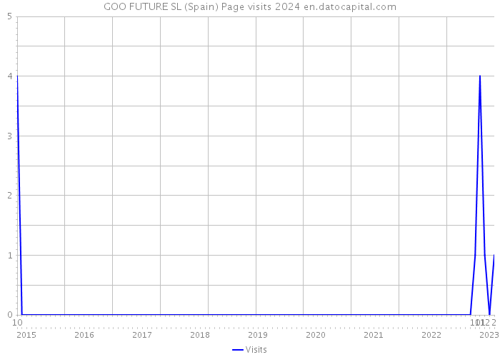 GOO FUTURE SL (Spain) Page visits 2024 