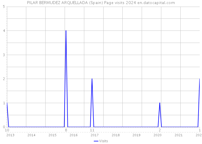 PILAR BERMUDEZ ARQUELLADA (Spain) Page visits 2024 