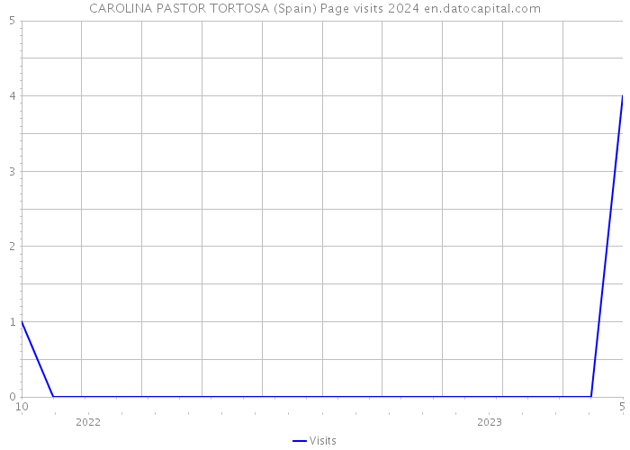 CAROLINA PASTOR TORTOSA (Spain) Page visits 2024 