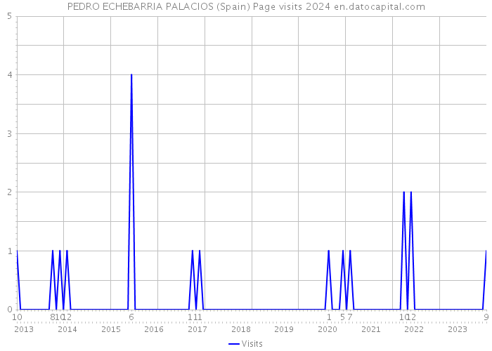 PEDRO ECHEBARRIA PALACIOS (Spain) Page visits 2024 