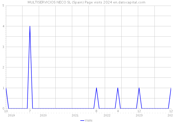 MULTISERVICIOS NECO SL (Spain) Page visits 2024 