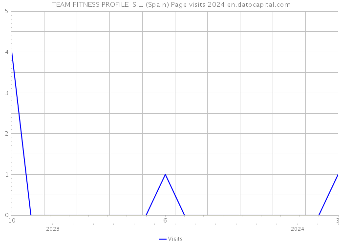 TEAM FITNESS PROFILE S.L. (Spain) Page visits 2024 