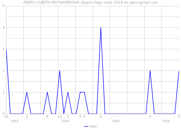 PEDRO CUESTA MATARREDONA (Spain) Page visits 2024 