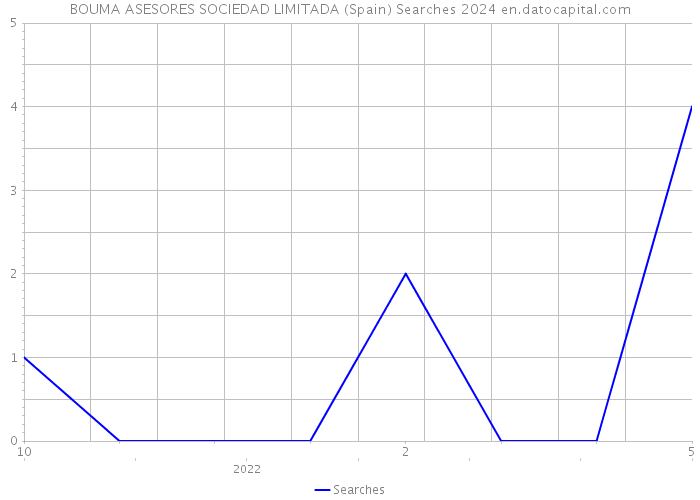 BOUMA ASESORES SOCIEDAD LIMITADA (Spain) Searches 2024 