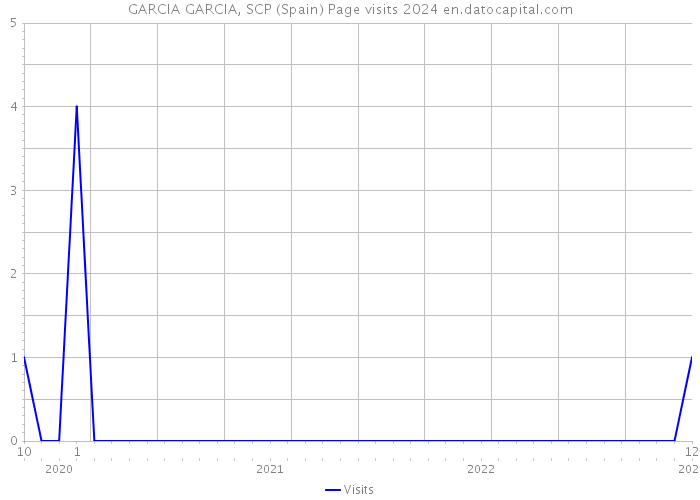 GARCIA GARCIA, SCP (Spain) Page visits 2024 