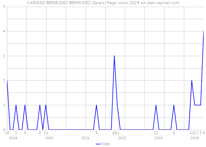 CARIDAD BERMUDEZ BERMUDEZ (Spain) Page visits 2024 