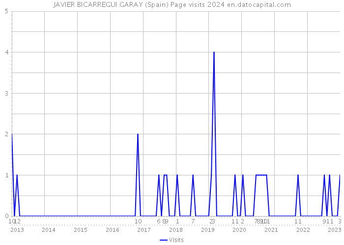 JAVIER BICARREGUI GARAY (Spain) Page visits 2024 
