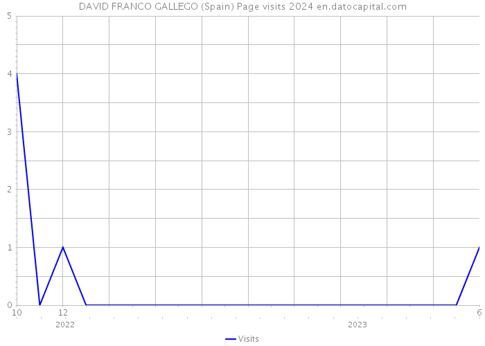 DAVID FRANCO GALLEGO (Spain) Page visits 2024 