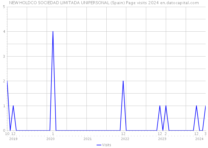 NEW HOLDCO SOCIEDAD LIMITADA UNIPERSONAL (Spain) Page visits 2024 